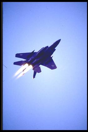 ref_air_pictures/eagle/wwwm7310.jpg
