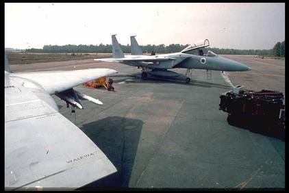 ref_air_pictures/eagle/wwwm7312.jpg