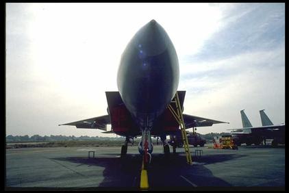 ref_air_pictures/eagle/wwwm7326.jpg