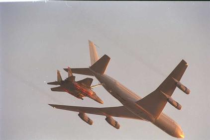 ref_air_pictures/eagle/wwwm7411.jpg